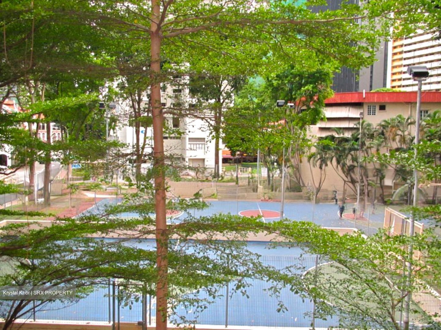 Craig Road (D2), Office #509856781